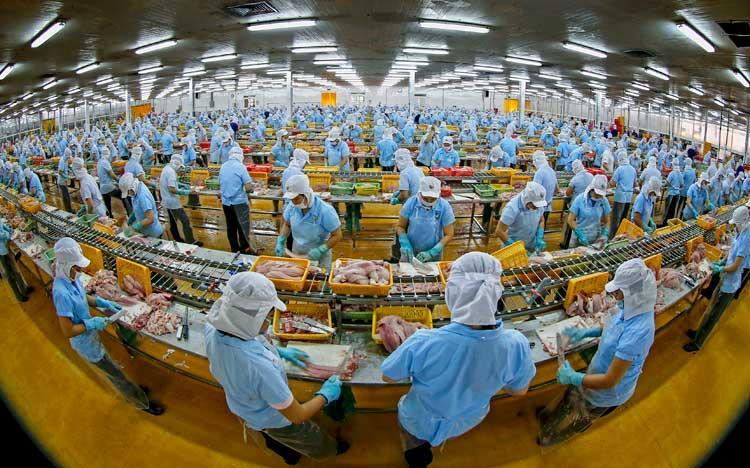 Vietnamese enterprises failing to grasp CPTPP opportunities