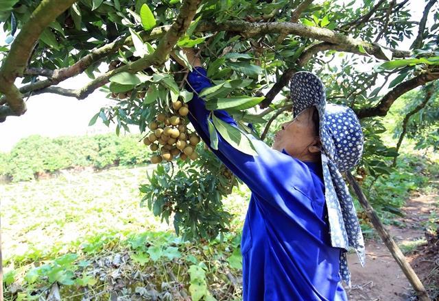 Geographical indications should be effectively exploited