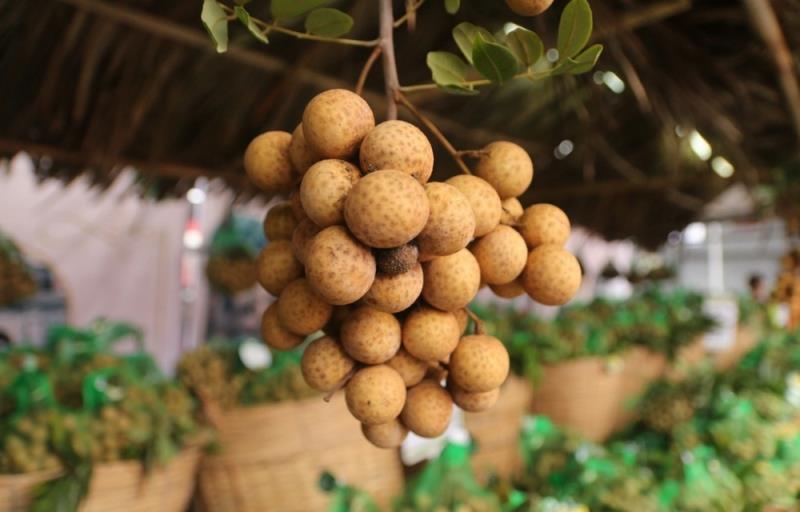 First batch of Vietnamese longan enters Australia