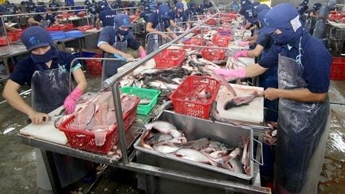 Tra fish looks to come home