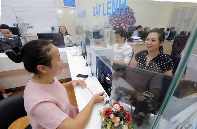 Individual purchases still key to market growth, VN-Index expected to end year at 1,000 points