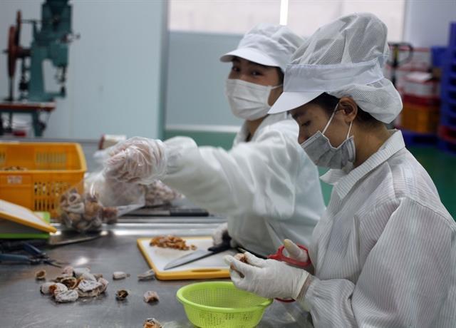 Agriculture ministry working on project to develop agricultural processing