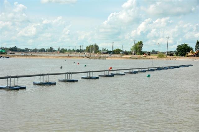 An Giang-based firm exports tra fish products made under high-tech process