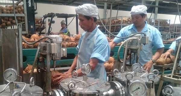 Vietnamese brands see demand at Alibabas 2020 11.11 Global Shopping Festival