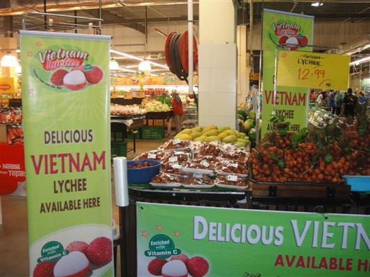 Vietnamese, Malaysian enterprises boost co-operation