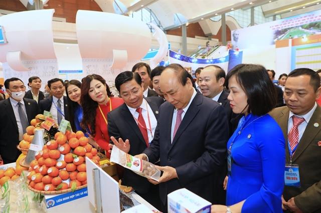 Viet Nams cooperative economy potential has not been tapped: PM