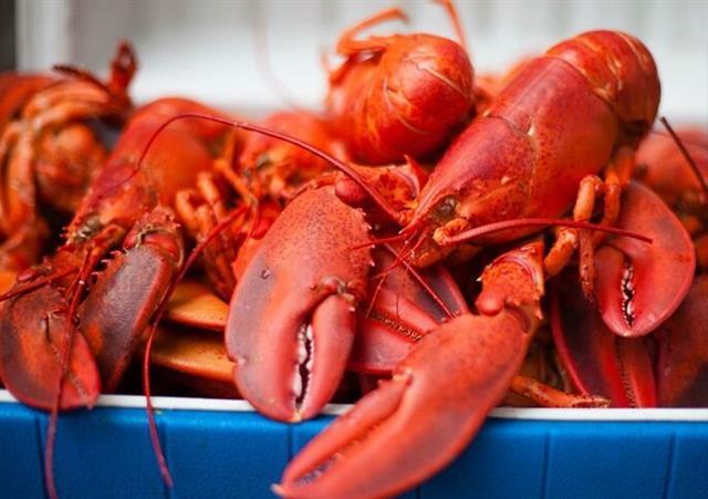 VN imports of US goods continue to rise