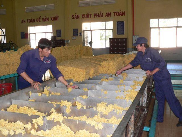 Rubber Group builds three processing plants