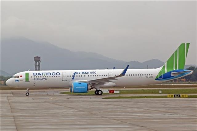 Domestic airlines reduce flight frequency to fight COVID-19