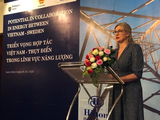 Swedish firms see potential in local power system