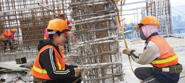 Professional liability insurance revenue surges