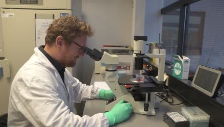 Johnson  Johnson COVID-19 vaccine candidate demonstrates protection in pre-clinical studies