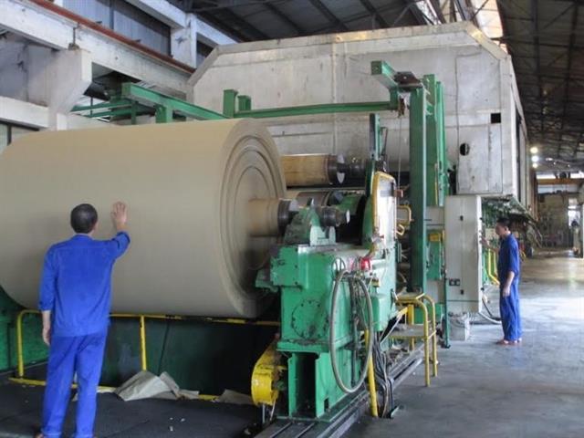 Paper companies see bright prospects as demand increases