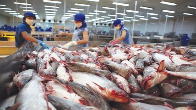 Hundreds of Vietnamese seafood firms permited to export to Taiwan