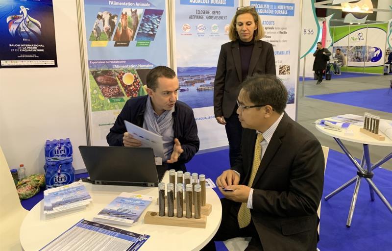 Viet Nam, Algeria, Senegal business matchmaking seminar to take place next month