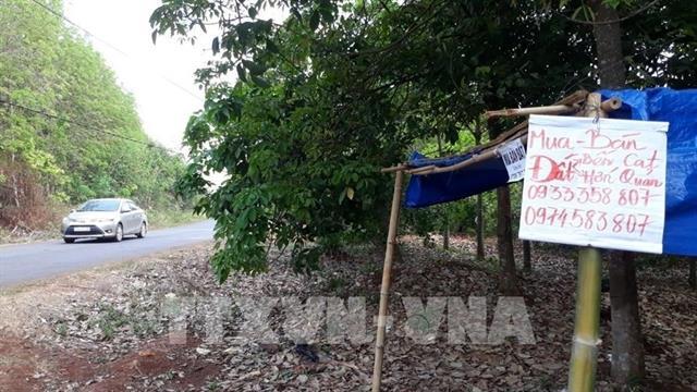 Ministries tighten land management to prevent land fever