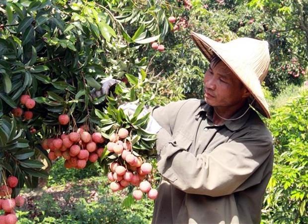 Agro-forestry-fisheries exports up over 24 per cent in Jan-Apr