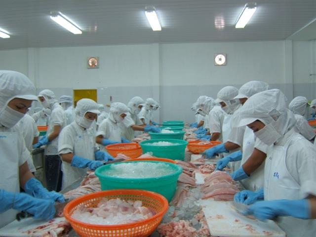 Viet Nams tra fish exports expected to continue recovering