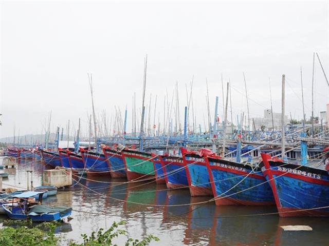 Binh Dinh proposes withdrawing two local ports from planning