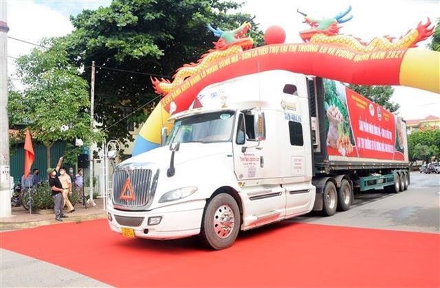 Son La longan exported to EU, UK markets