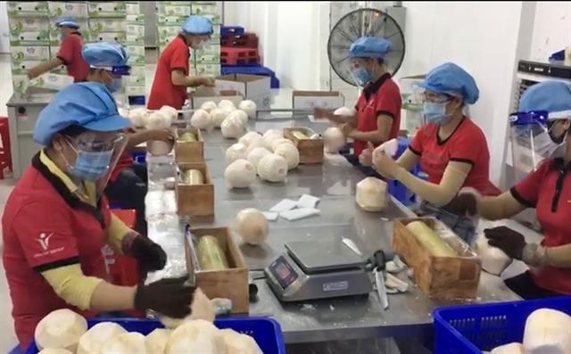 Agricultural production and circulation must be maintained during social distancing