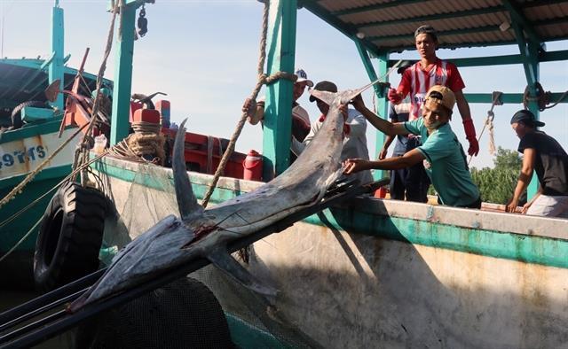 Viet Nam could lose US480 million per year due to illegal fishing