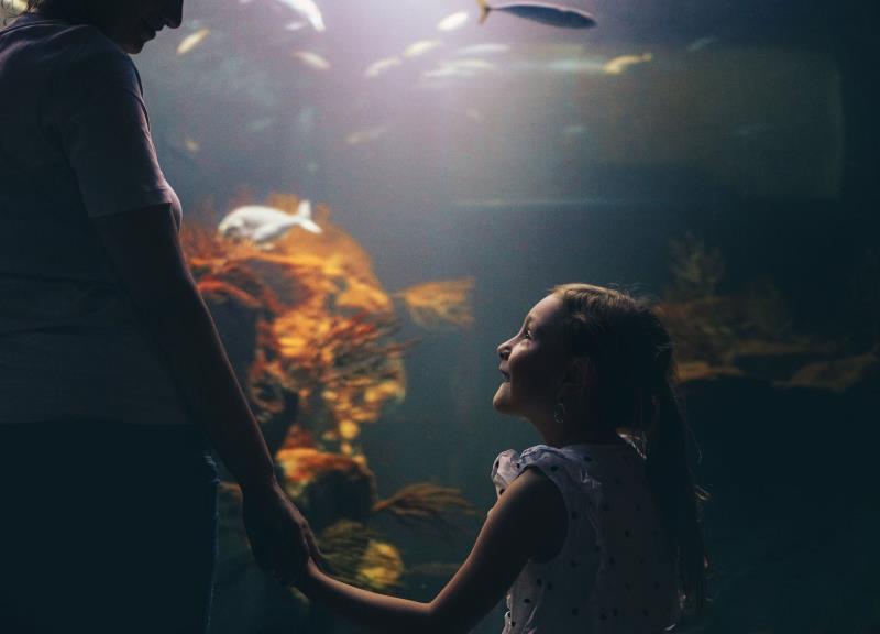 Pandemic has driven people to redefine their expectations of experiences