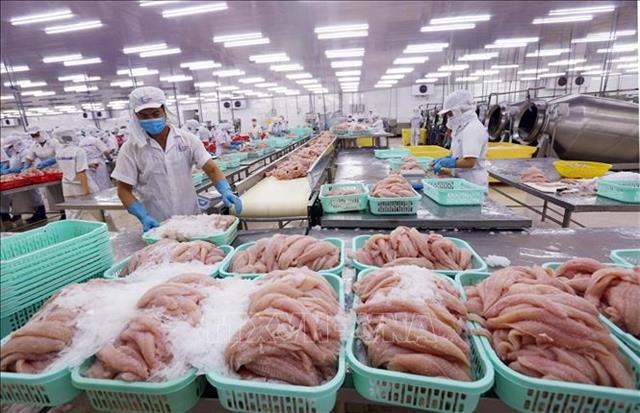 Many Vietnamese seafood exporters are not subject to US anti-dumping tariffs