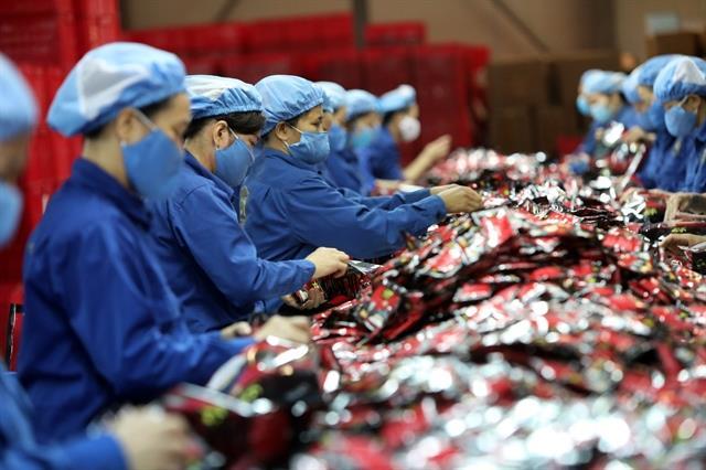 Productive and diversified private sector key to Viet Nams economic transformation