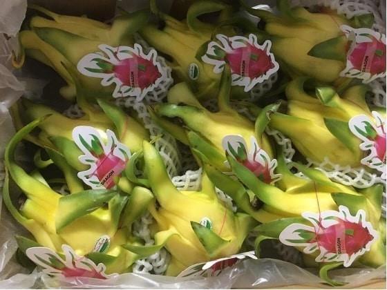 Vietnamese dragon fruit wins consumers favour in Australia