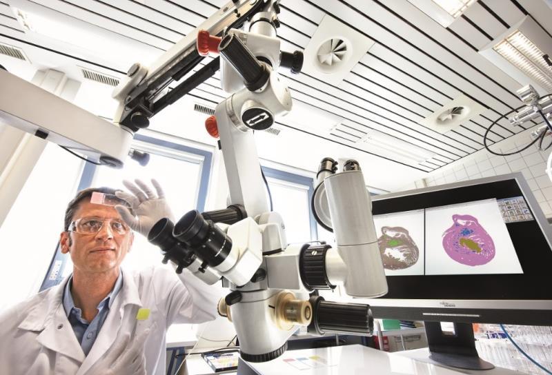 Bayer to present data from cardiovascular portfolio