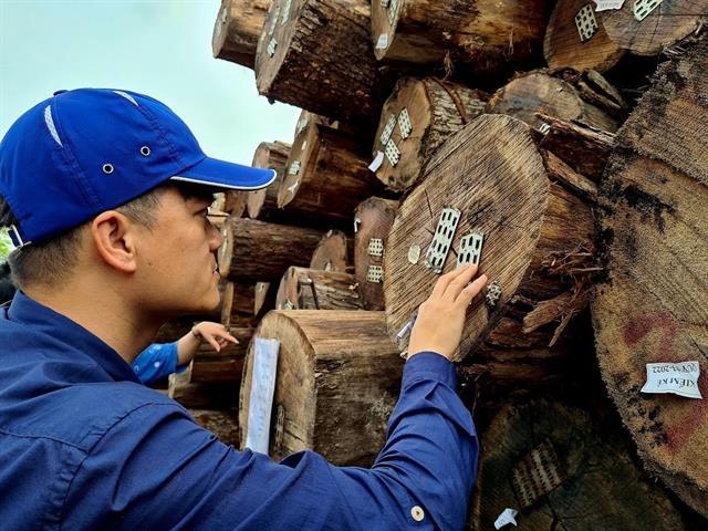 Huge potential for Viet Nams timber exports, but certification a must