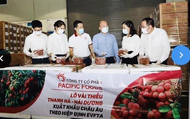 EVFTA helps compensate for pandemic-caused economic downturn: experts