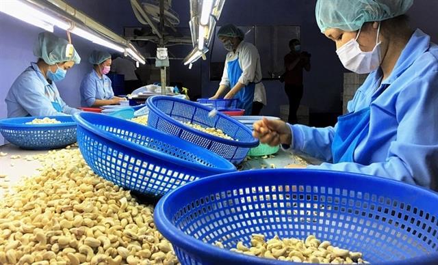 PM directs five ministries to solve cashew export scam