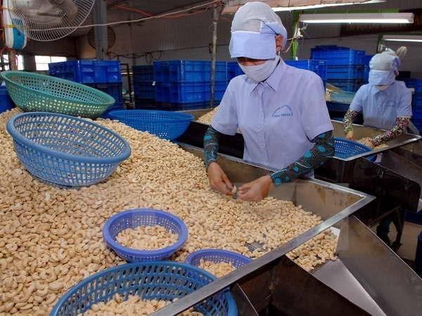 Cashew containers put in holding, some find new buyers