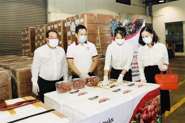 Bac Giang looks to boost Thieu lychee sales in high-standard markets