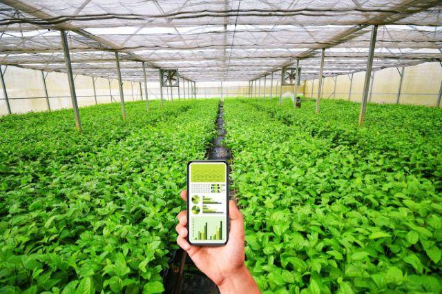 VN eyes green agriculture, private sector plays key role