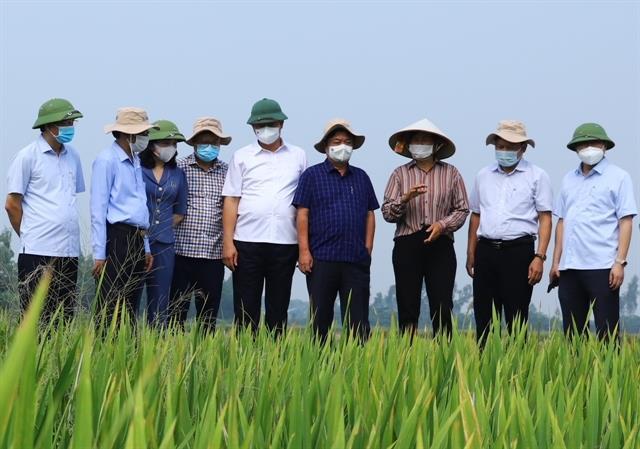 Ha Noi bolsters value of farm produce for export
