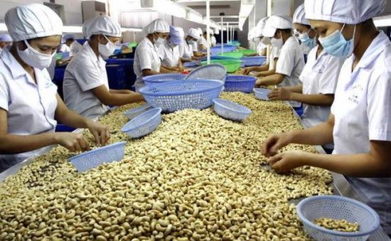 Cashew industry urged to focus on markets with FTAs