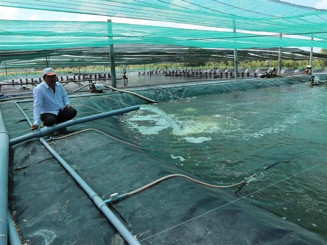 Changing mindset in fishery industry