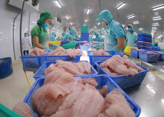 CPTPP holds potential for Viet Nams tra fish exports