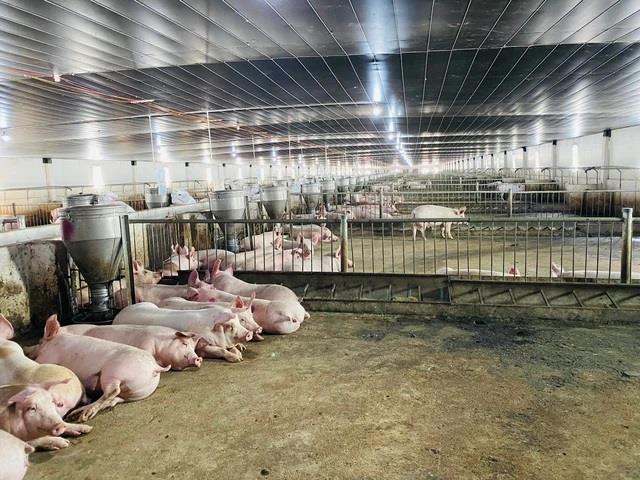 Bright outlook for livestock farming industry