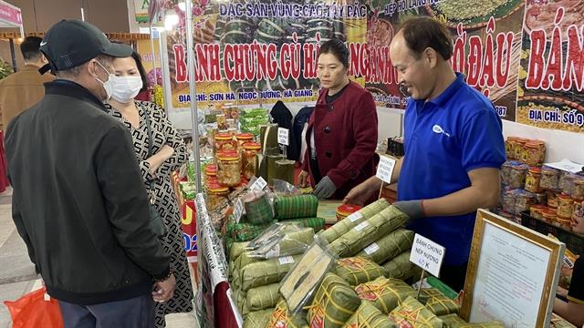 Spring Fair 2023 opens in Ha Noi