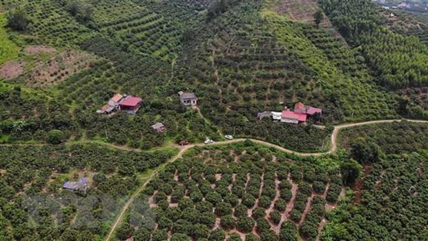 1,600 more cooperatives to be formed this year