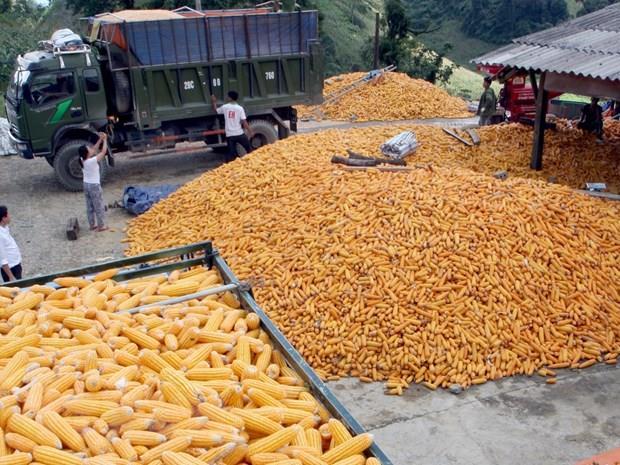 Businesses must look to diversify supply