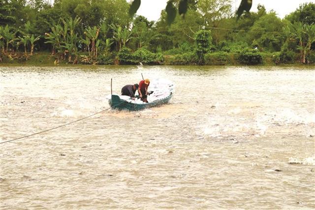 Workshop stresses PPPs role in cutting emissions from tra fish chain