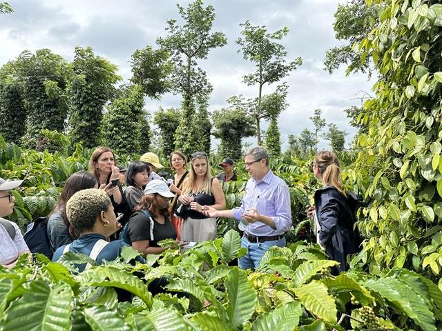 Nestlé promoting Vietnamese coffee to the world