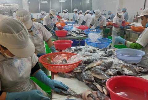 Surimi, fishmeal exports expected to climb to 1b