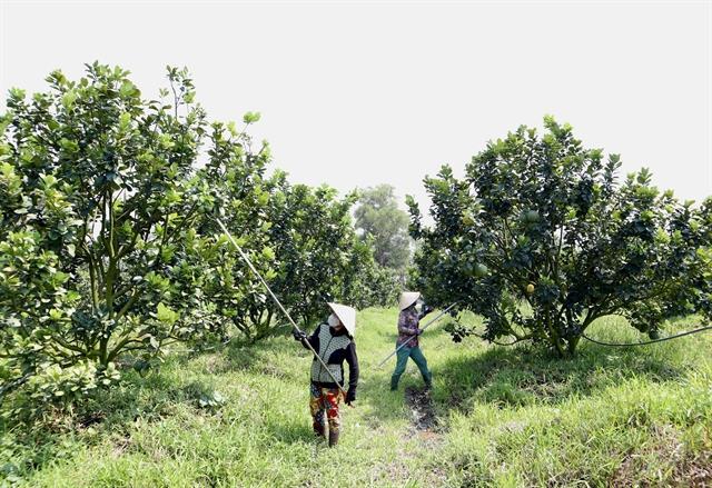 UKVFTA drives green trade, promote formation of sustainable supply chain