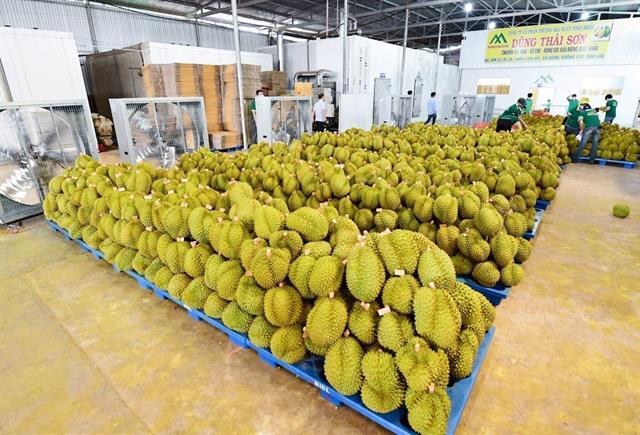 China issues 435 codes for Vietnamese agricultural product exporters